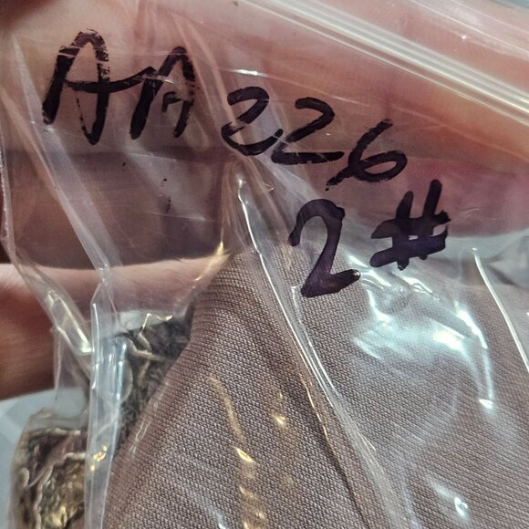 Jade Couture by Jasmine Lace Gown Gray 12 Formal Evening Dress Wedding Elegant - Picture 8 of 16